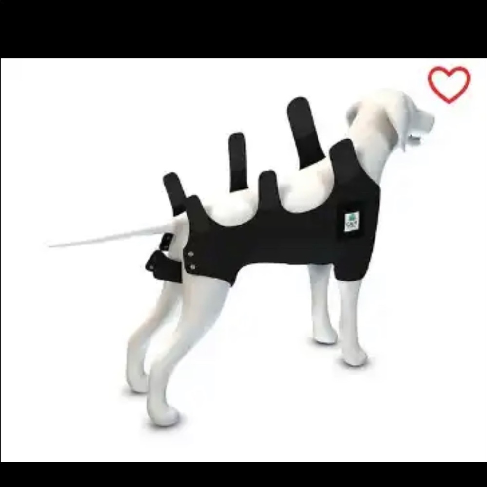 Dog surgery recovery suit